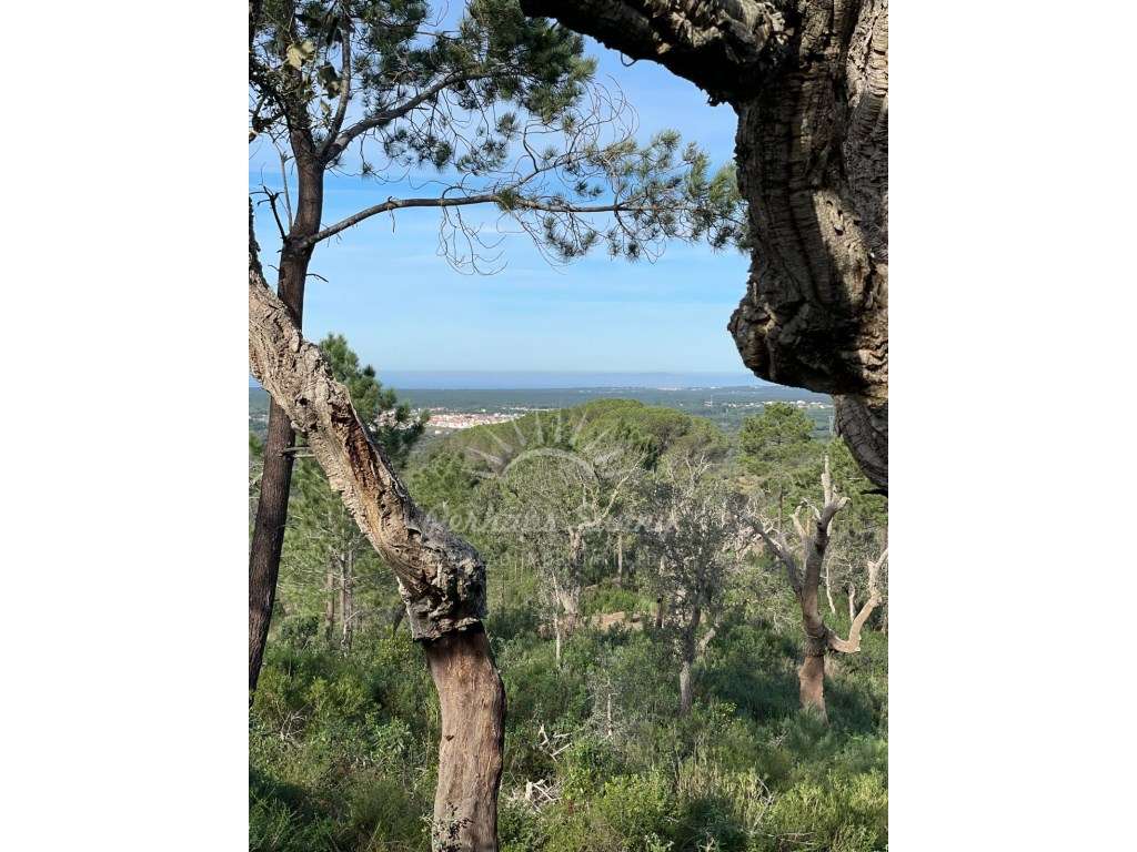 Prédio Rústico - Melides - Grande imagem: 3/15