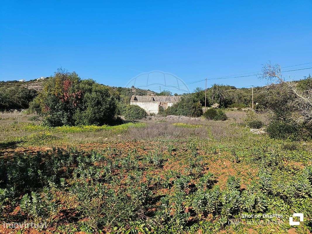 Terreno  para venda - Grande imagem: 3/29