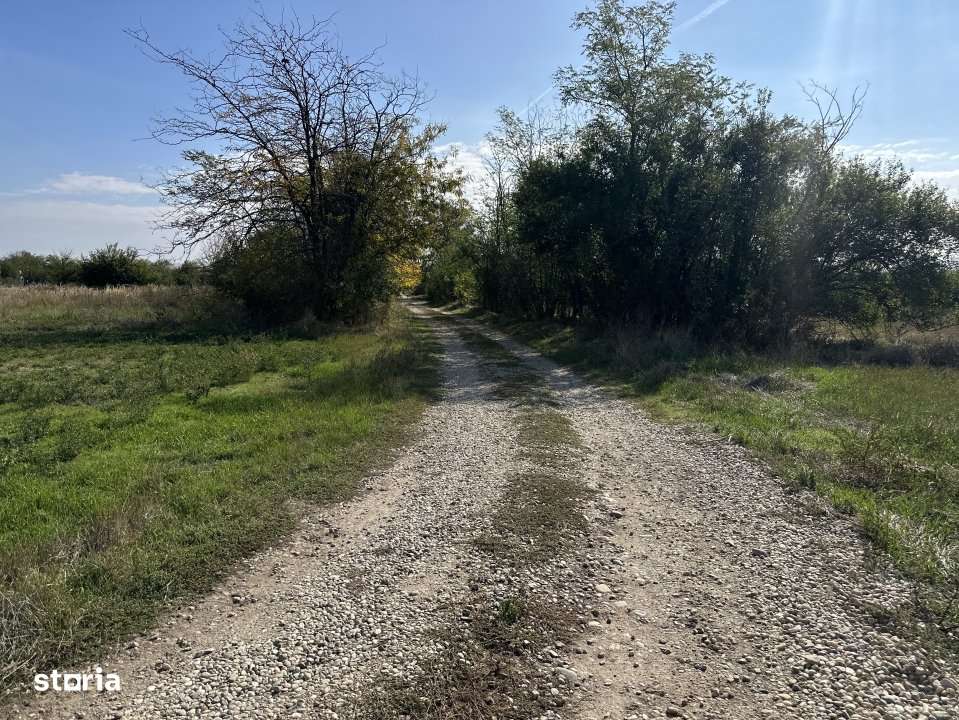 Teren Intravilan com. Ratesti - Imagine principală: 3/4