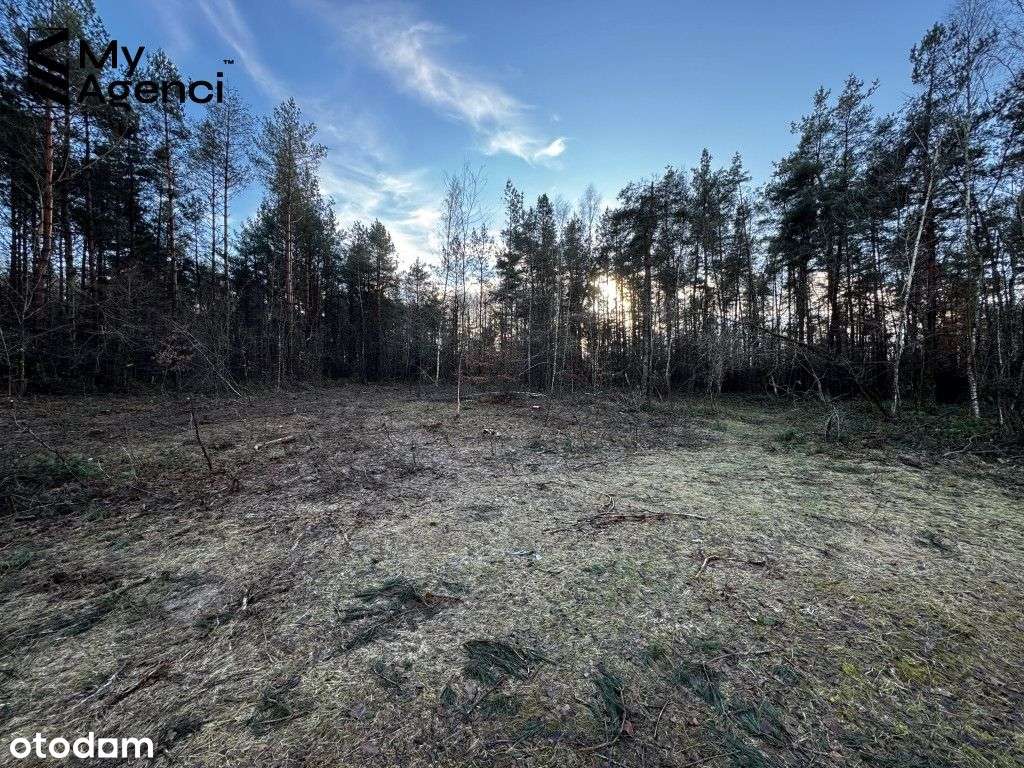 Lewino, ul. Lipowa - działki na sprzedaż-8