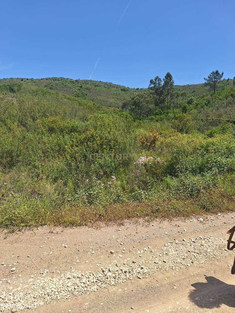 Terreno com 89.030 m² à venda em São Bartolomeu de Messines-9