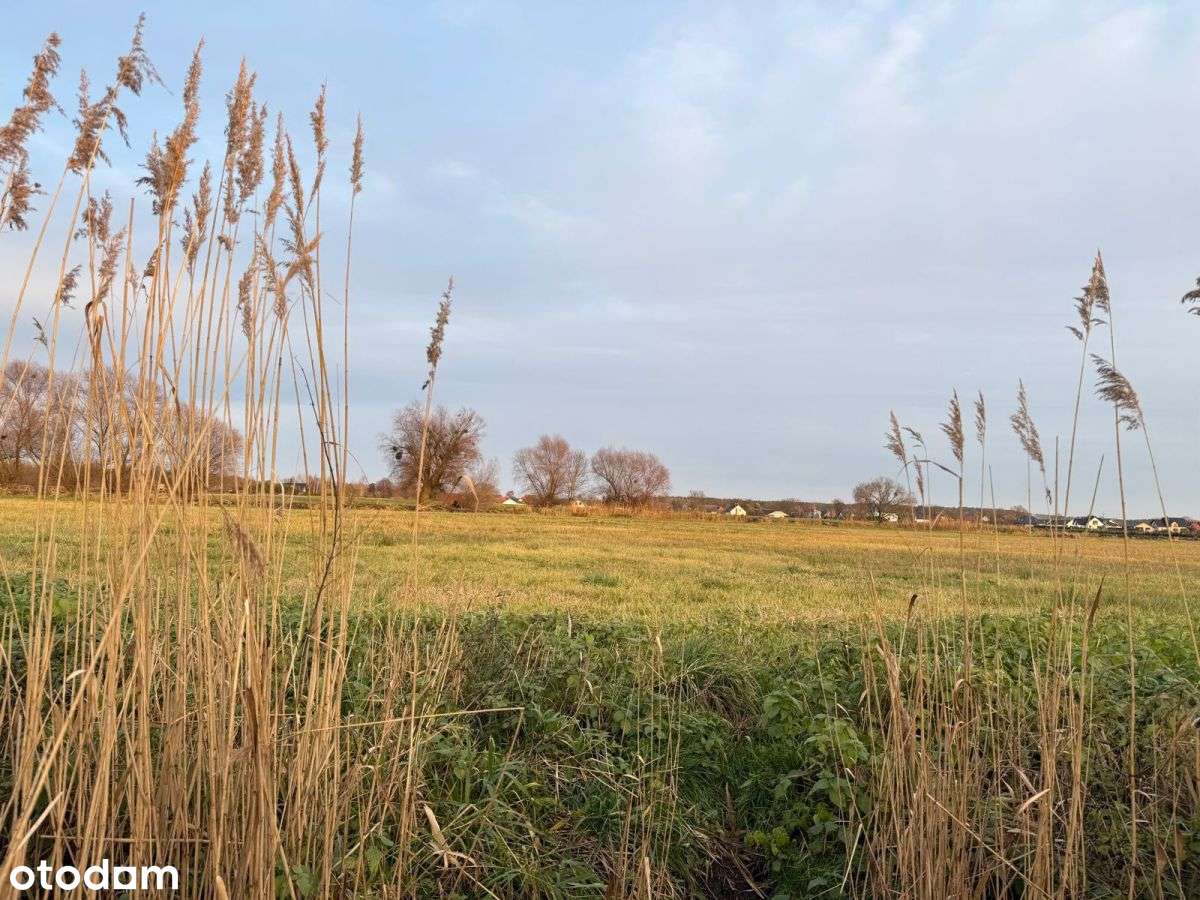 Działki rolne na sprzedaż | bliskość rzeki-11