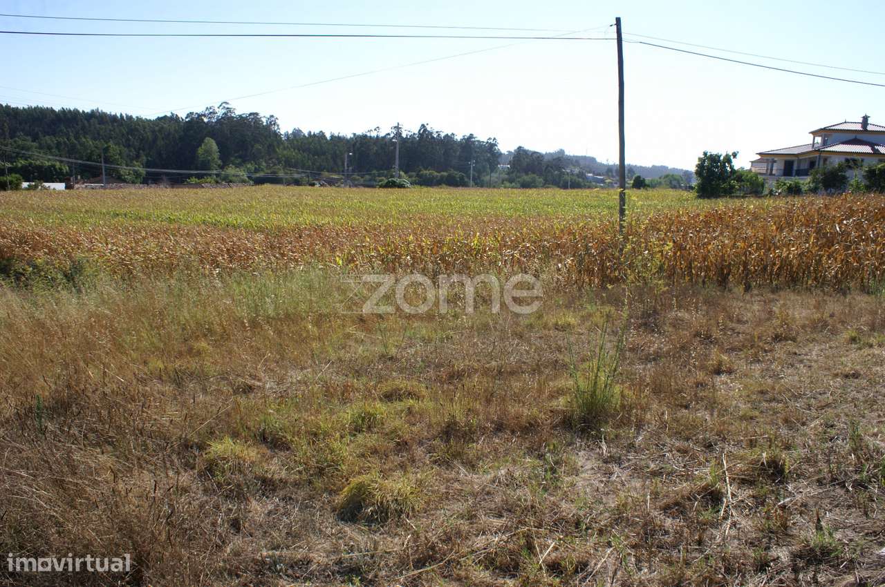 Terreno Urbanizável | Águeda - Grande imagem: 4/16