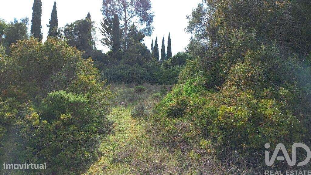 Terreno em Loulé (São Clemente) de 700,00 m2 - Grande imagem: 4/4