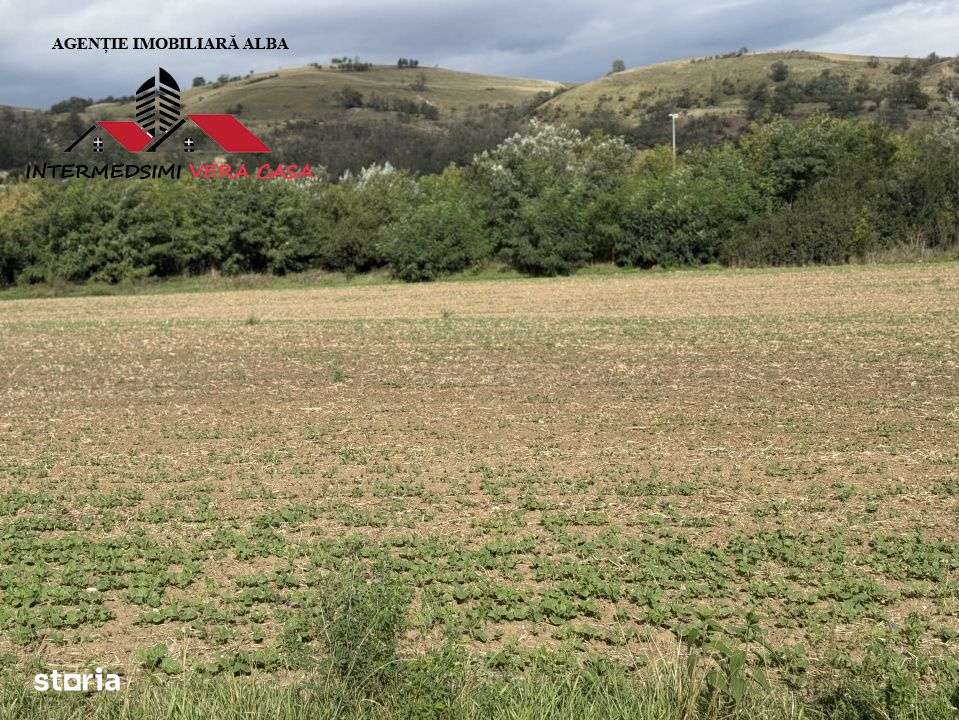 Teren extravilan 7400 mp de vanzare la iesire din  Sebes spre Daia-2