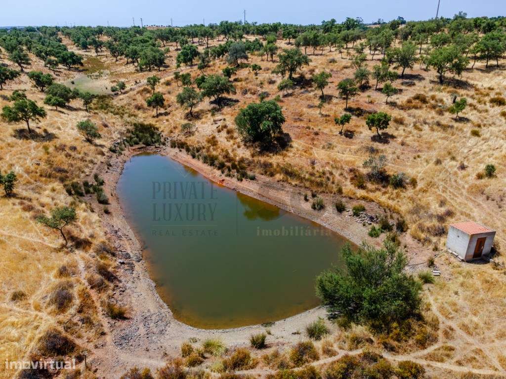 Quinta T2 em Serpa | Vista para a barragem-24