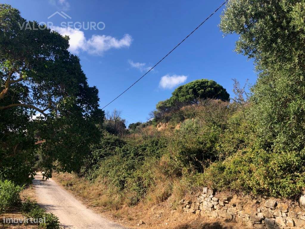 Terreno Misto para Loteamento em À-dos-Loucos, Alhandra-12