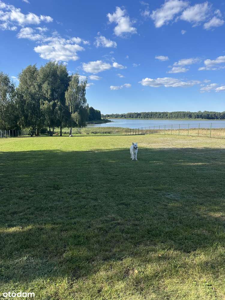 Dom nad jeziorem. - Pełny obrazek: 4/12