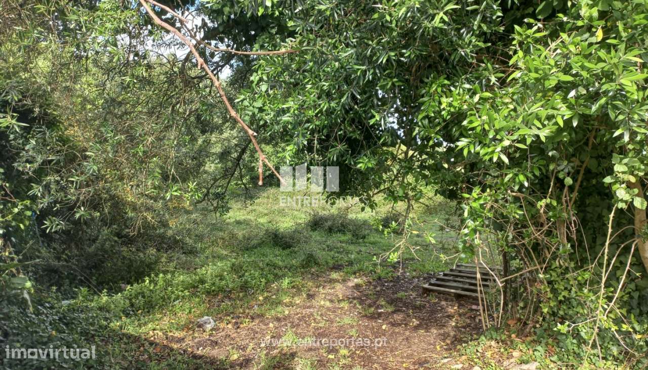 Venda de Terreno para construção com 7079m², Meadela, Viana do Cast - Grande imagem: 4/15