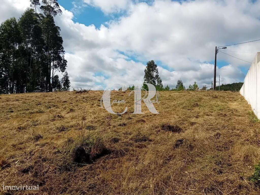 Terreno Rústico em Bairradas, Figueiró dos Vinhos, com viabilidade par - Grande imagem: 3/12