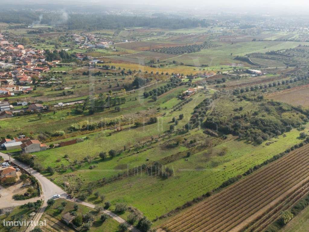 Terreno | Ventosa do Bairro, Mealhada-3