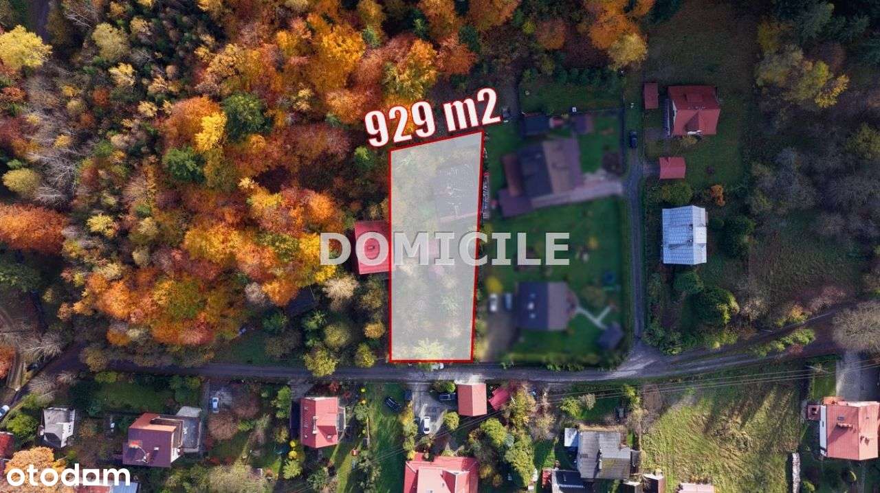 Dom w górach otoczony lasem-5