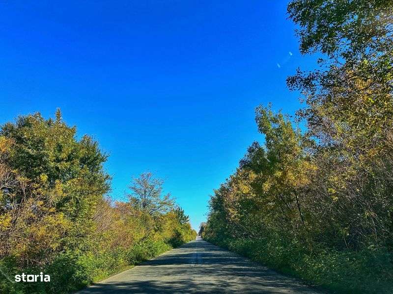 Casa noua,eficienta energetic,4 camere-aproape de Bucuresti,5 min deA2 - Imagine principală: 5/8