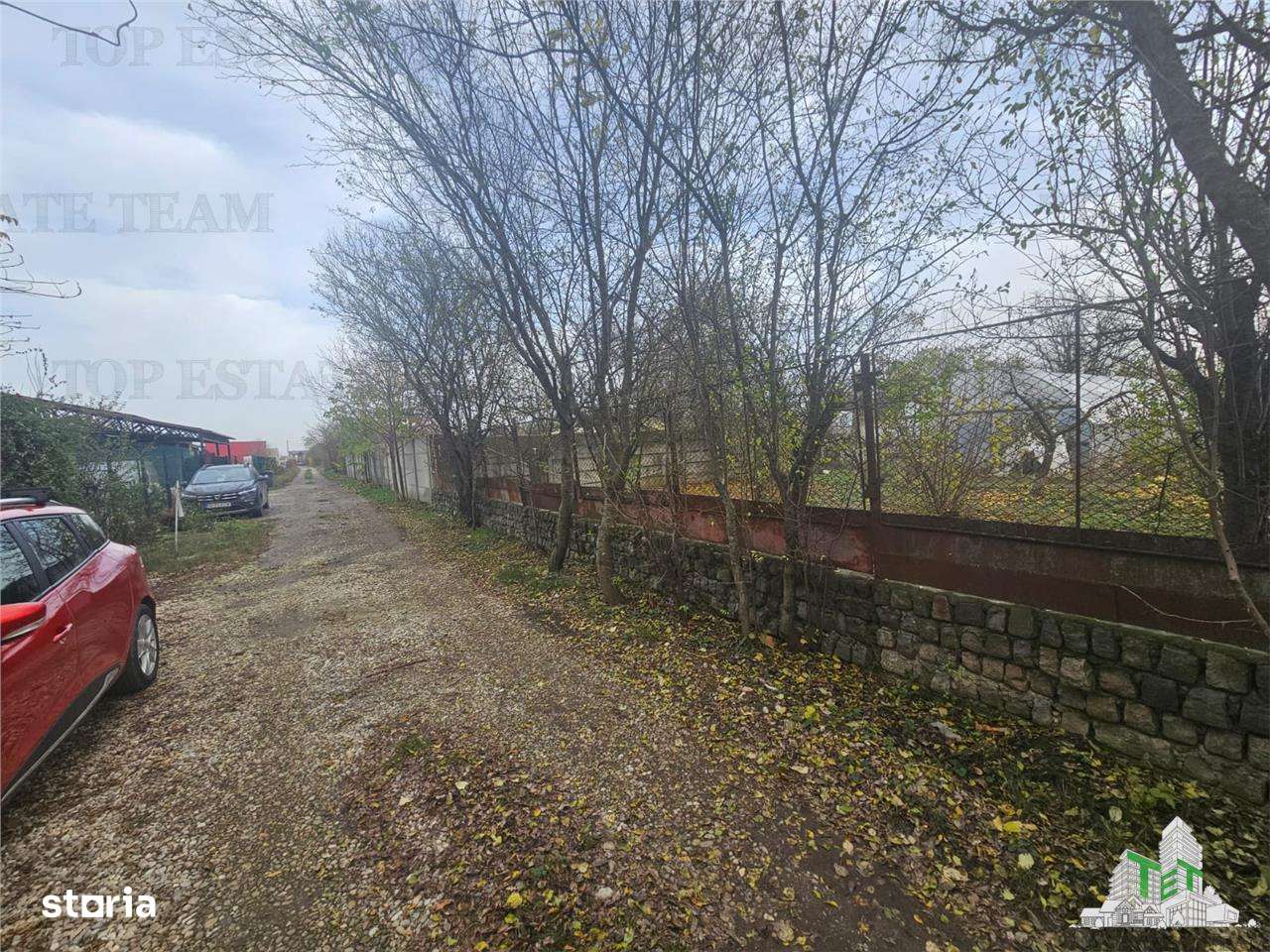 Teren 2000mp intre case langa Padurea Teghes-2