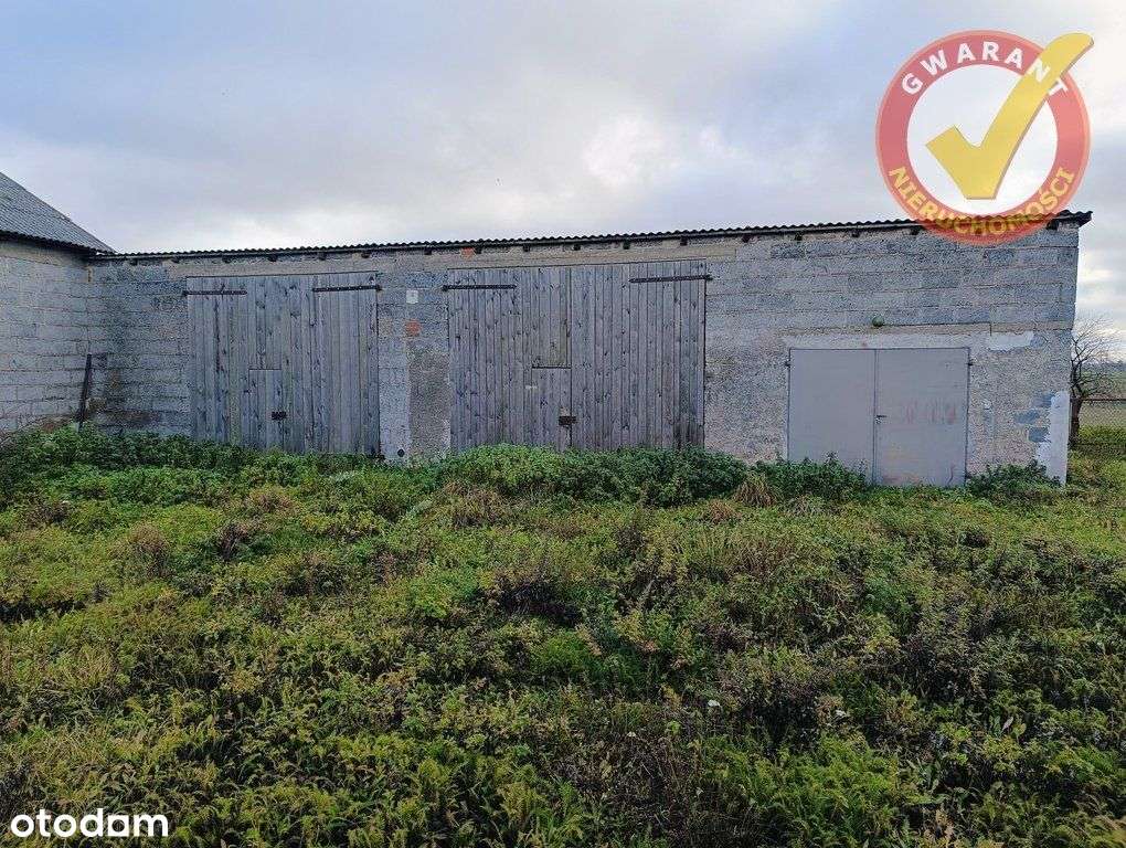 Dom Z Budynkami I Działką 4828 m2 W Świętosławiu ! - Pełny obrazek: 5/20