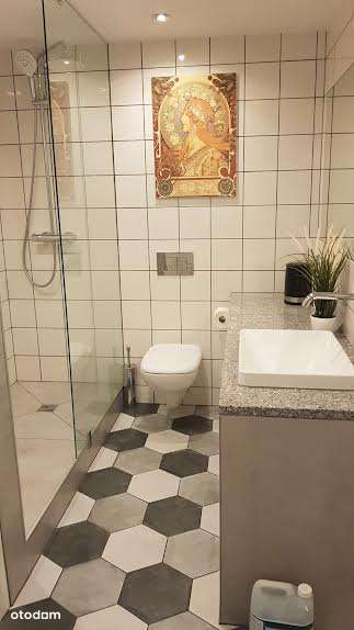 Krzyki Borek w zabytkowej willi,lokal po adaptacji i remoncie.-4