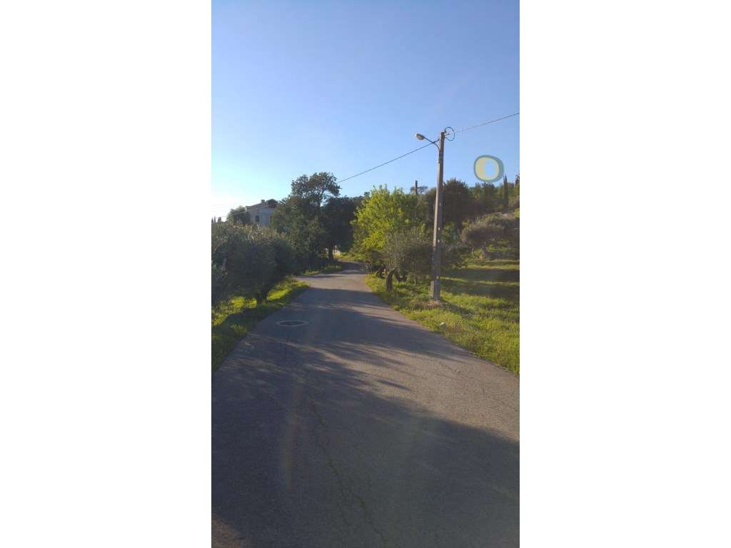 Terreno Rústico Venda São Brás de Alportel - Grande imagem: 3/9