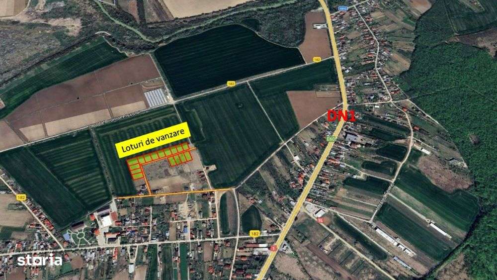 Loturi de casa -  1.000 mp intravilan - Strada Scolii - Ciolpani Ilfov - Imagine principală: 1/4