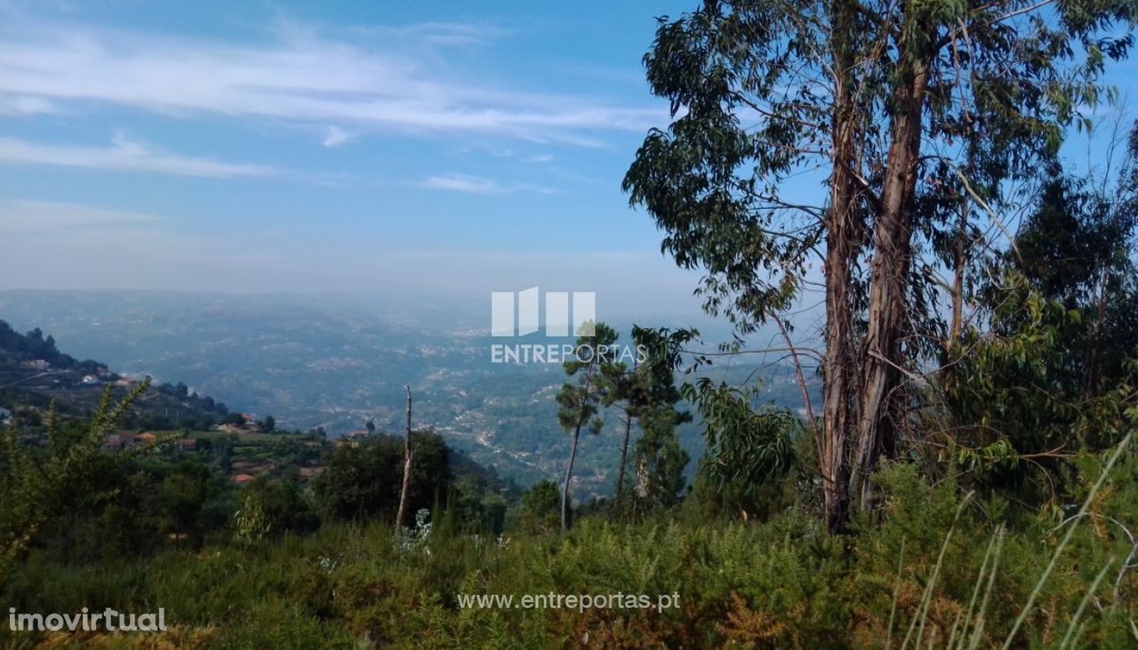 Venda Terreno com viabilidade de construção, Cinfães