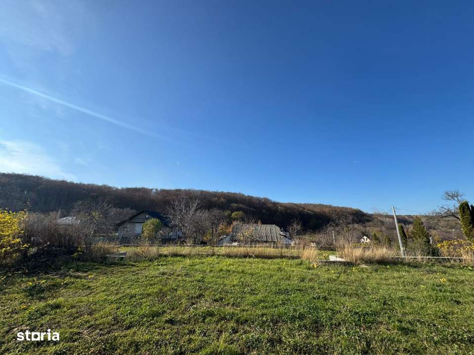 Vanzare  1400mp teren imprejmuit 2 loturi pt casa Adancata - sub padur-8