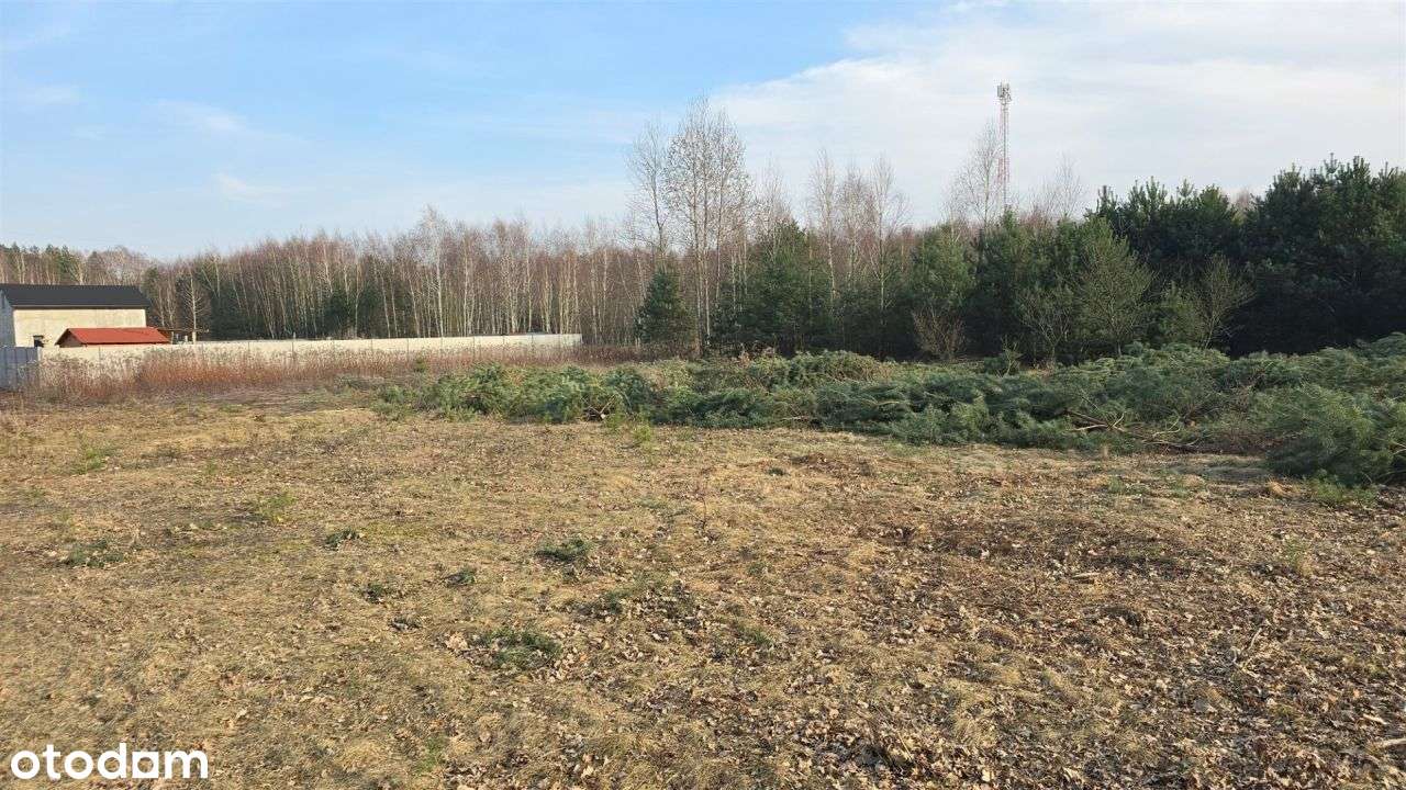 Urokliwa okolica czysty leśny klimat blisko miasta-3