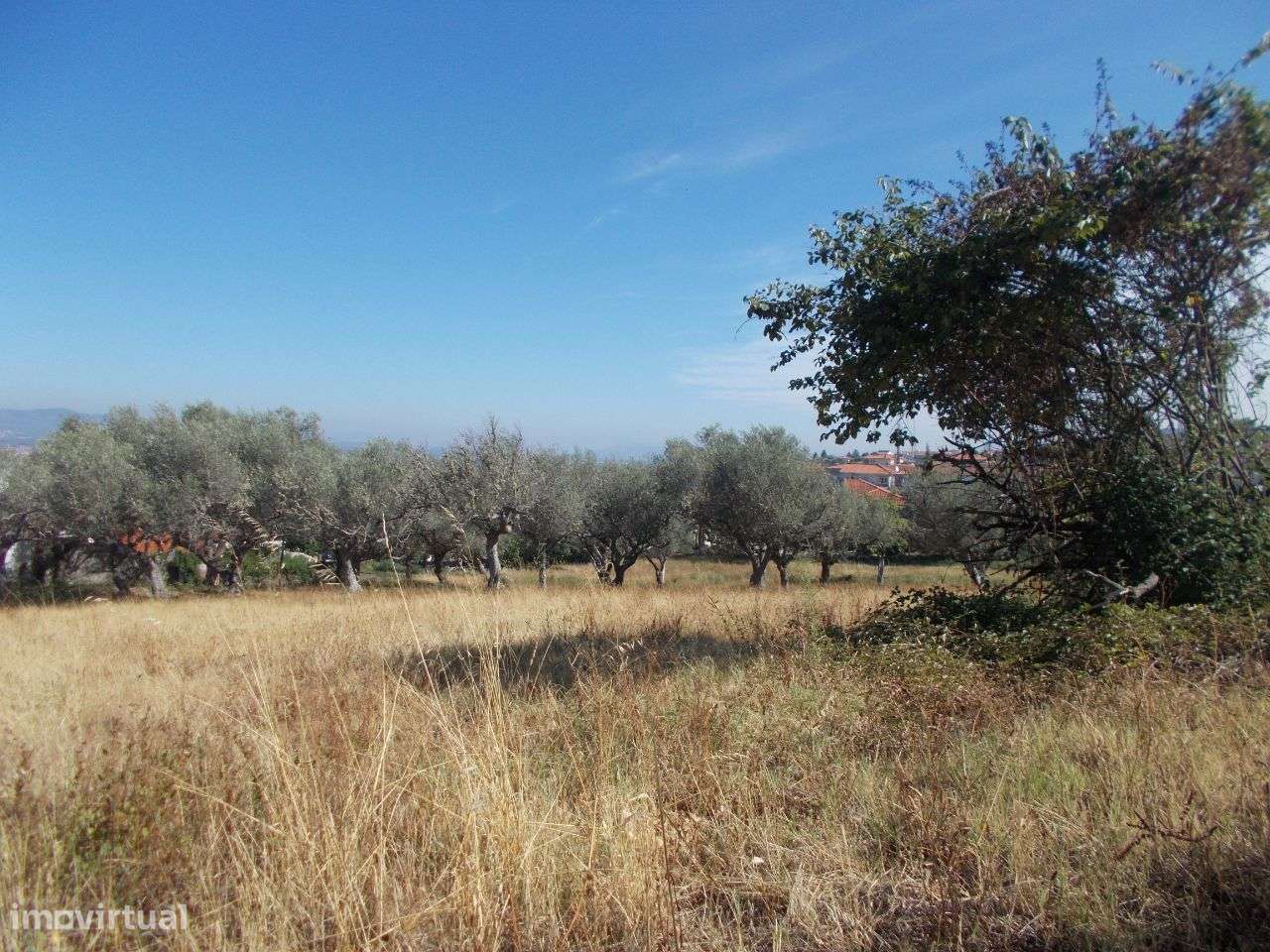 Chaves Quinta Vista Panorâmica - Grande imagem: 5/27