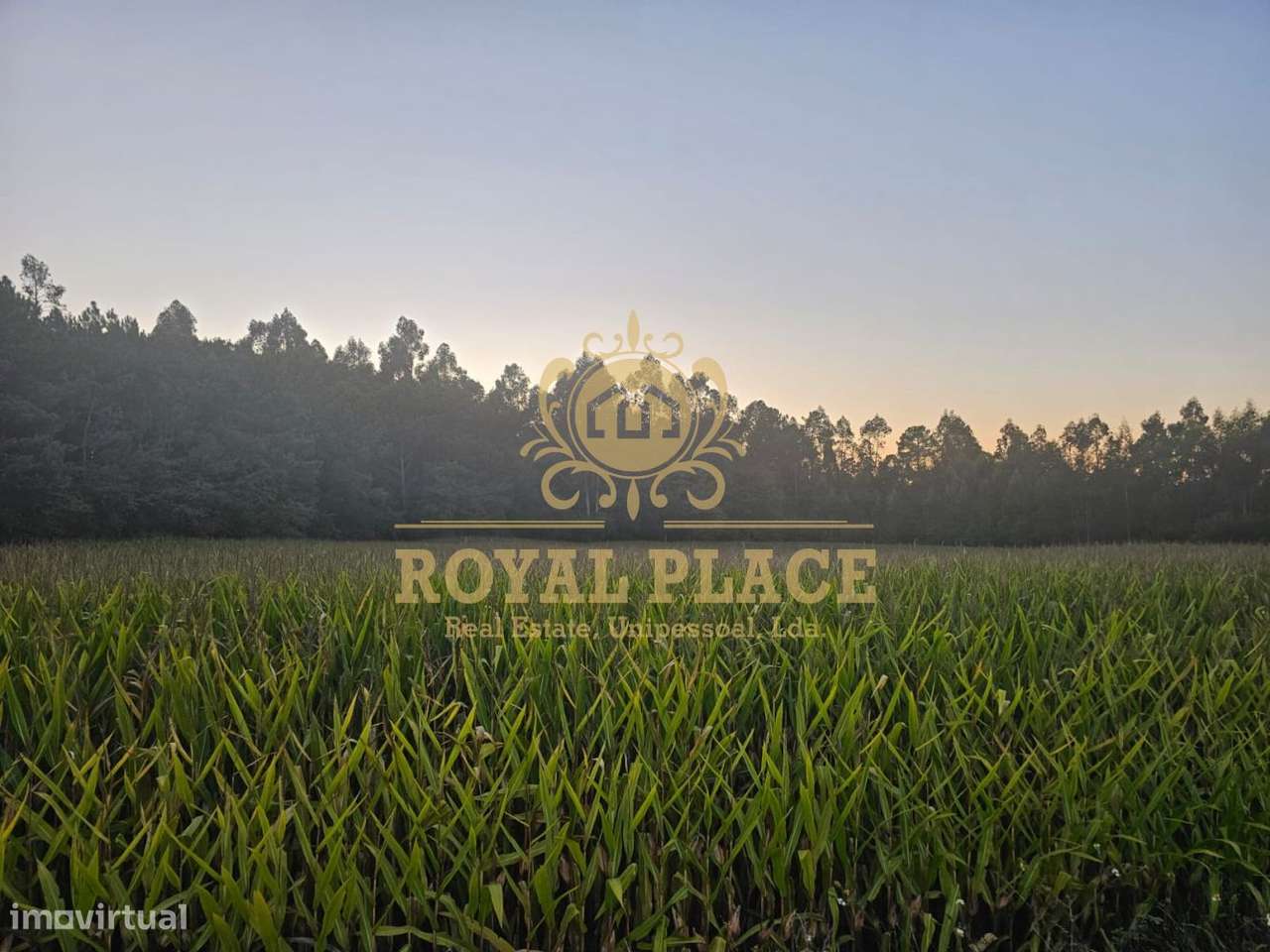 Terreno com PIP aprovado para construção em Santa Maria da Feira - Grande imagem: 5/12