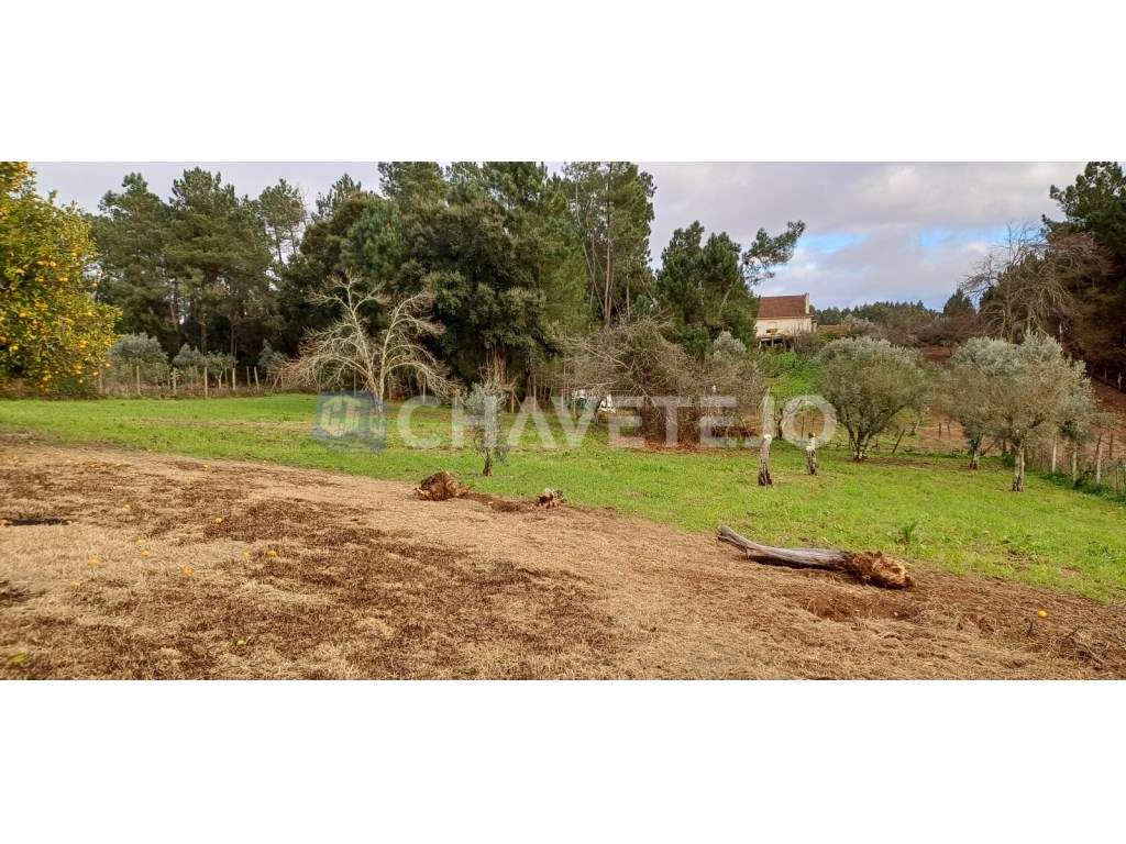 Casa Antiga Com Arrecadação e Terreno Para Recuperar, Cernache do B...-31