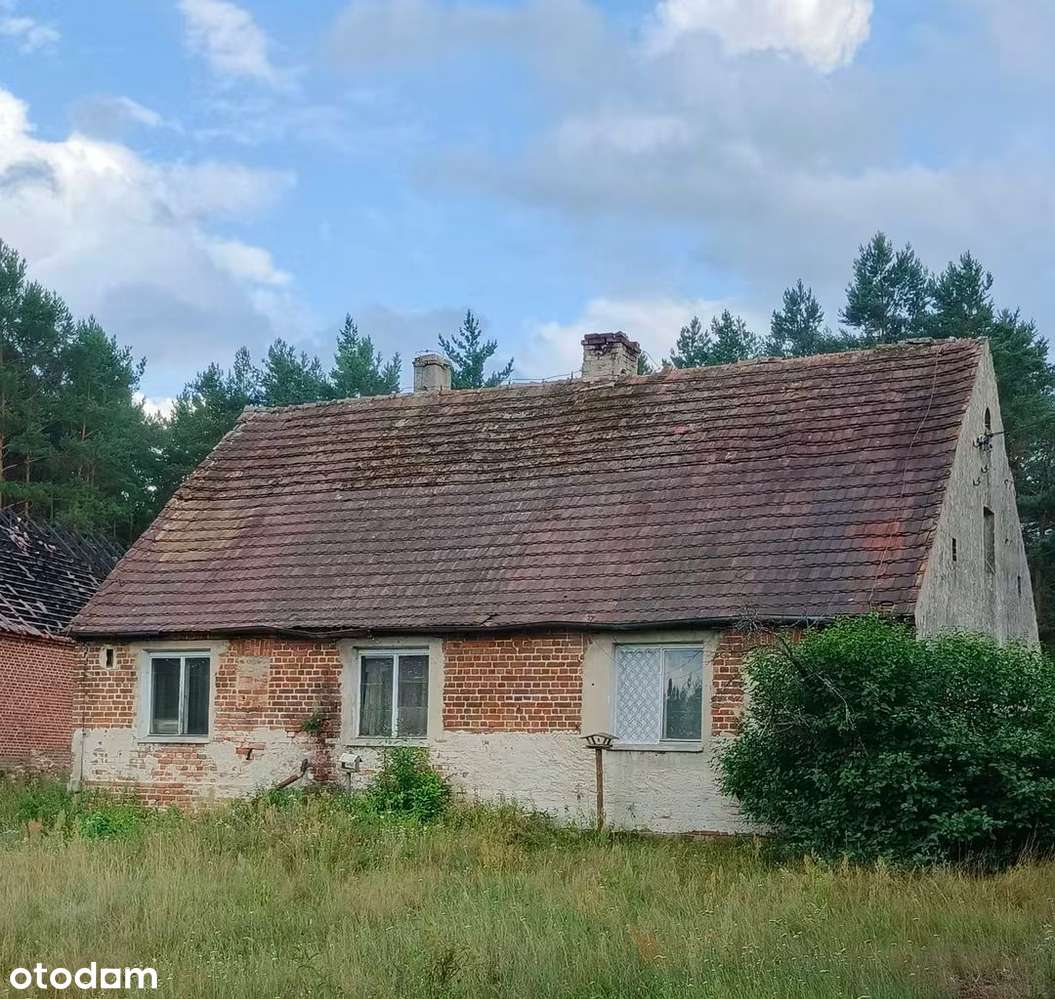 Dom w malowniczej wsi, położony wśród lasów i jezior!