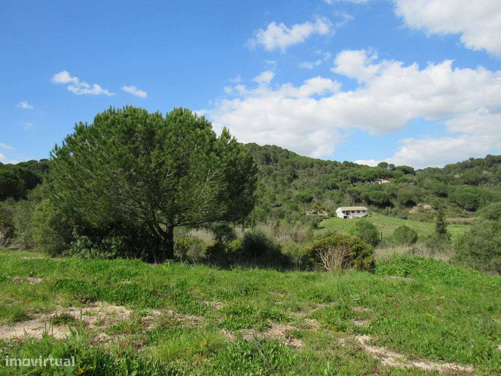 Terreno Rústico de 46.250 m2 em Azeitão – Natureza e Potencial em Harm - Grande imagem: 3/7