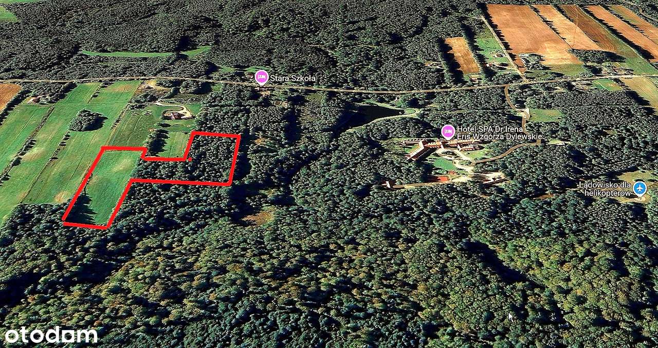 Oaza na Wzgórzach Dylewskich-5