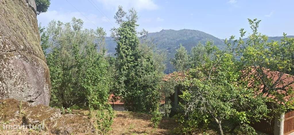 Terreno c/ Sequeira p/ Restauro  - Bouro Santa Marta-11