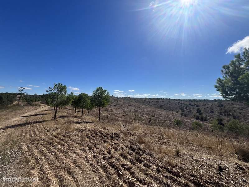 Terreno com 48ha de Natureza com Ruína de 53 m² – Ideal Projeto Rural-6