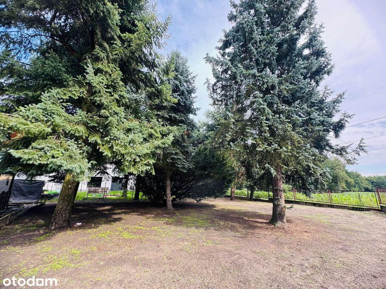 Dom z potencjałem pośród natury-8