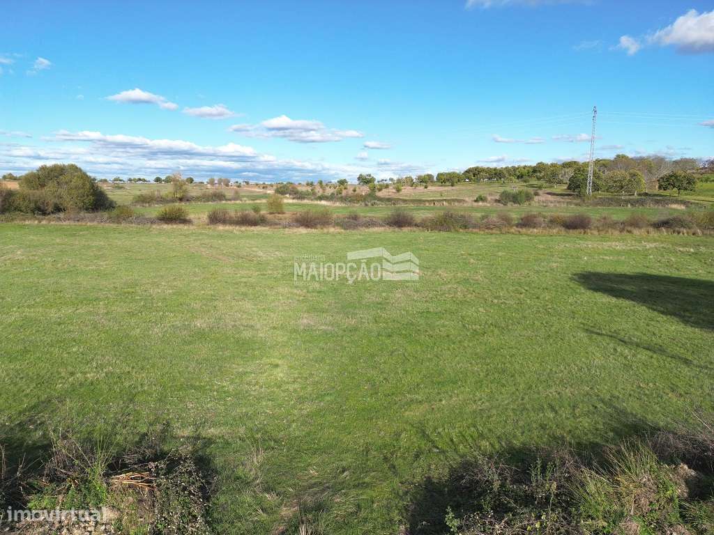 Terreno Agrícola 2hectares Bragança - Grande imagem: 2/5