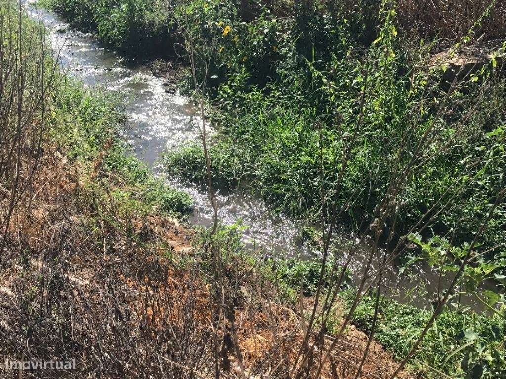 Estremoz Évora herdade 5ha projeto aprovado hotel Rural 4*e nogueir...-5