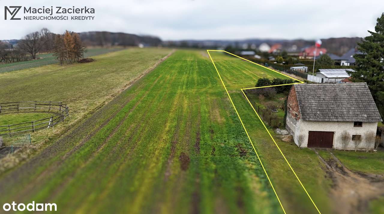 Podbucze | działka rolno-budowlana | 5 215 m² - Pełny obrazek: 3/6