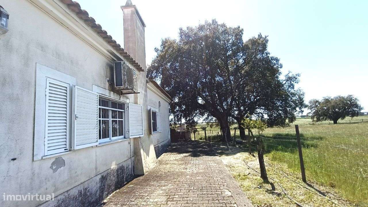Quinta Pegões Velhos, junto á adega, com moradia e armazém lote 3,8 ha-38