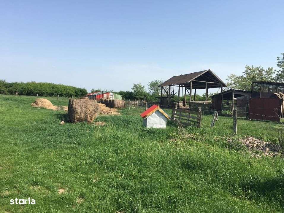 OPORTUNITATE ! Ferma,cladiri+7,4 Ha teren arabil - Imagine principală: 4/8