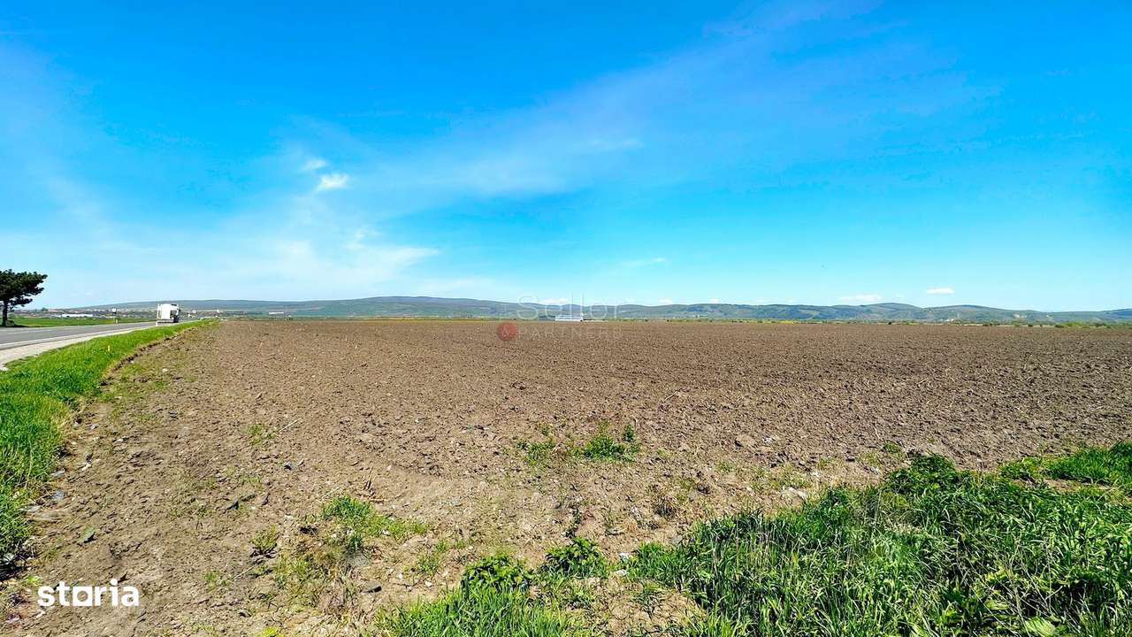 Teren Industrial - Imagine principală: 4/12