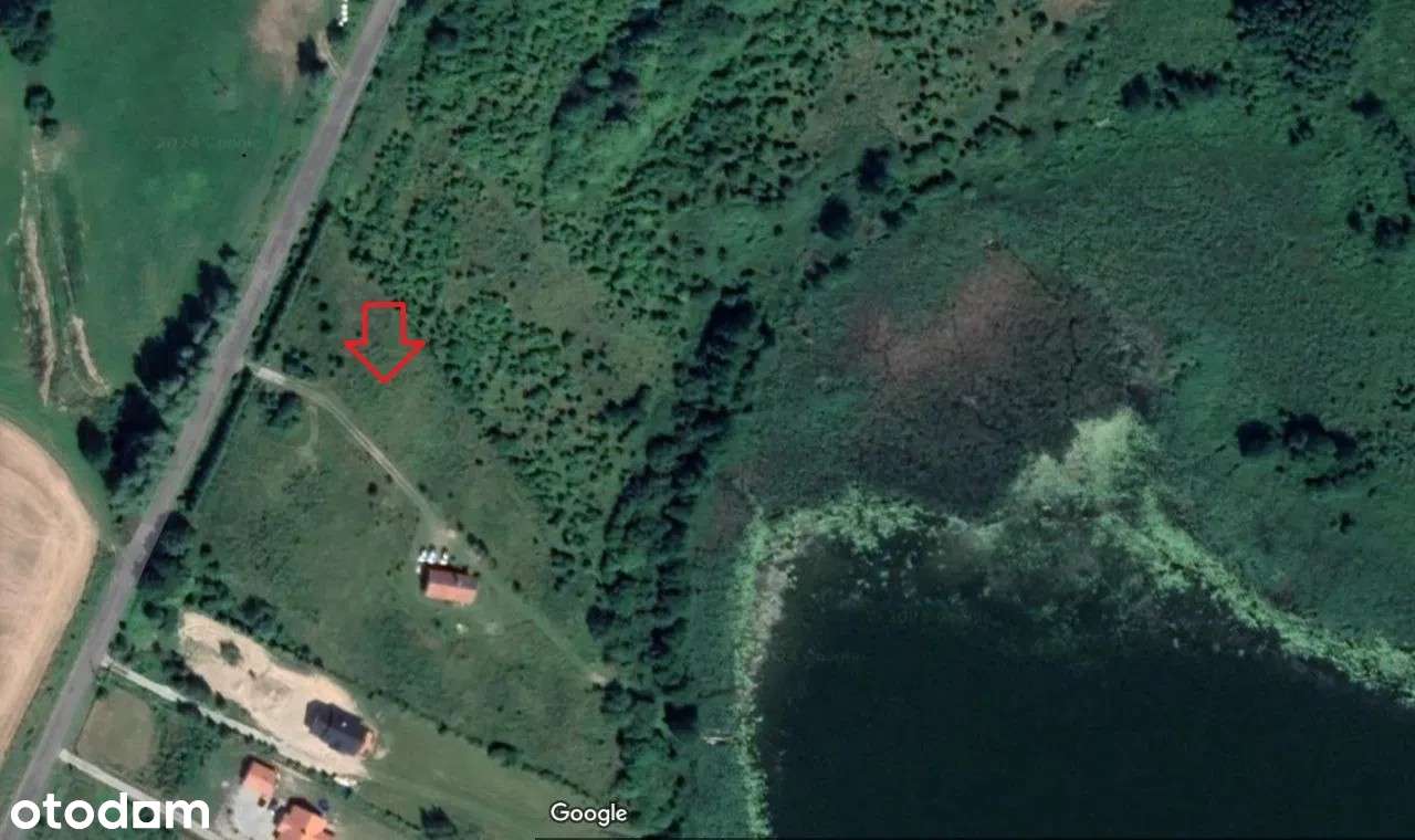 Działka rekreacyjna z linią brzegową nad jeziorem Dybowskim - Pełny obrazek: 2/3