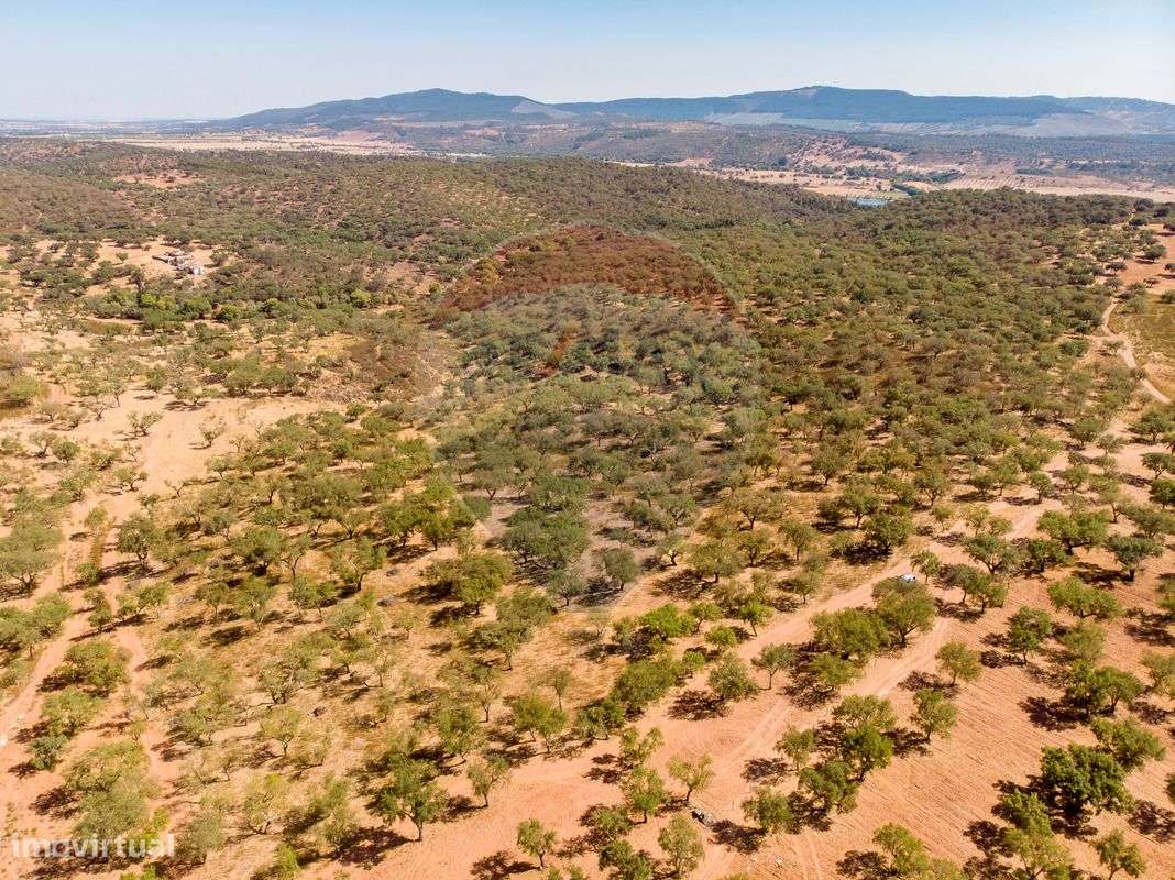 Terreno  para venda - Grande imagem: 4/8