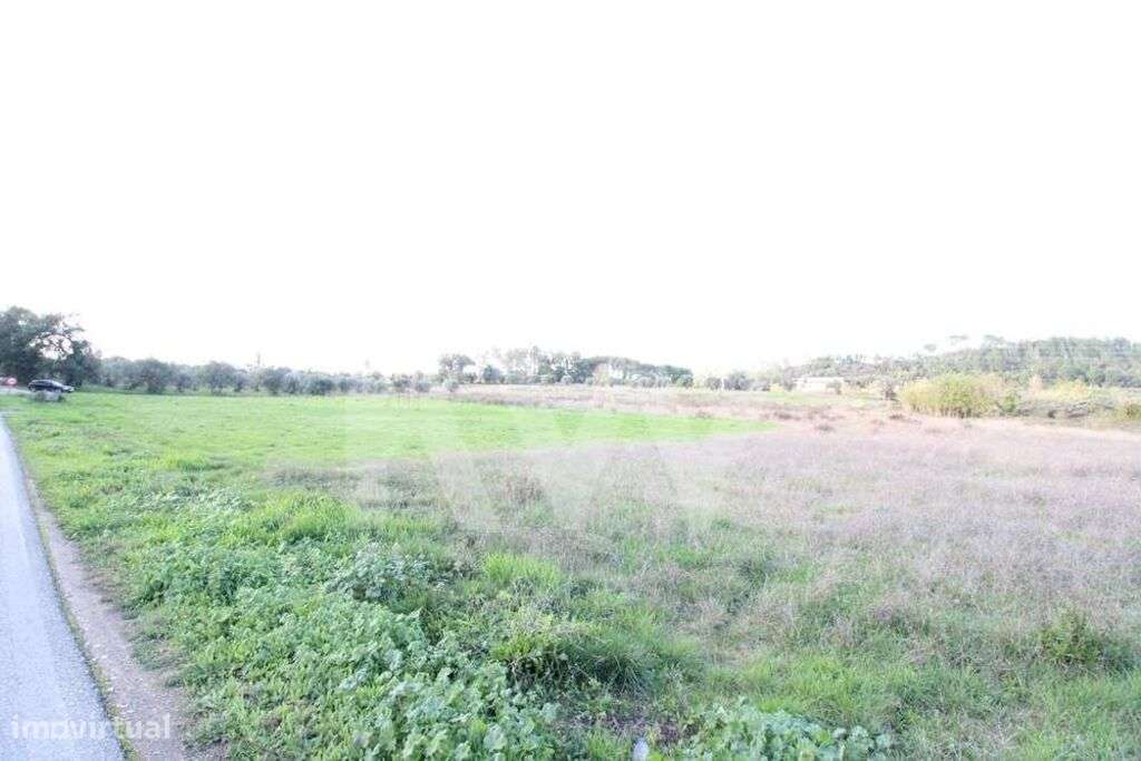 Terreno para construção com 7600m2 | Possibilidade de loteamento | Sou - Grande imagem: 4/16