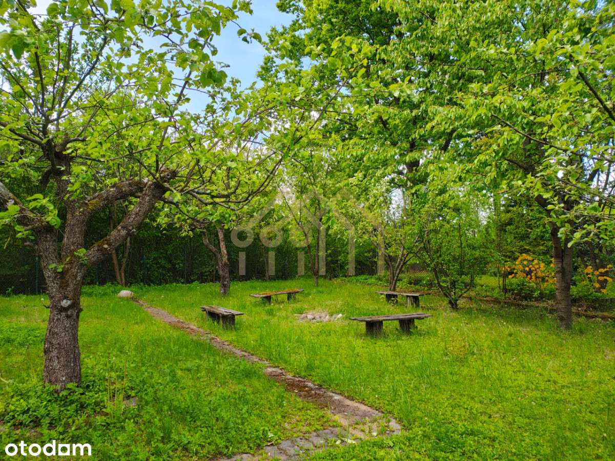 Klimatyczna działka nad Narwią - Pełny obrazek: 4/18