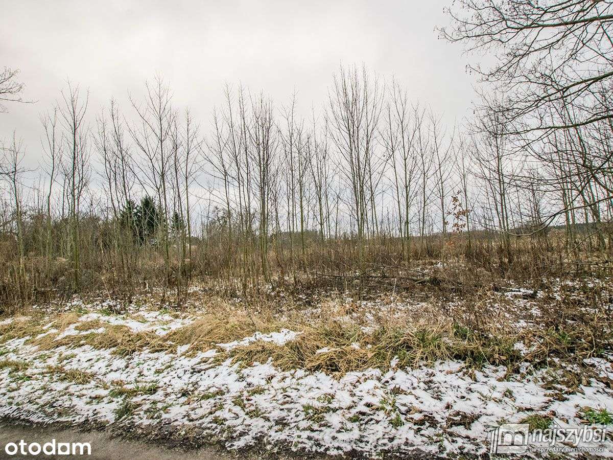 Golczewo Ziemia Rolna 0,30 ha - Pełny obrazek: 5/13