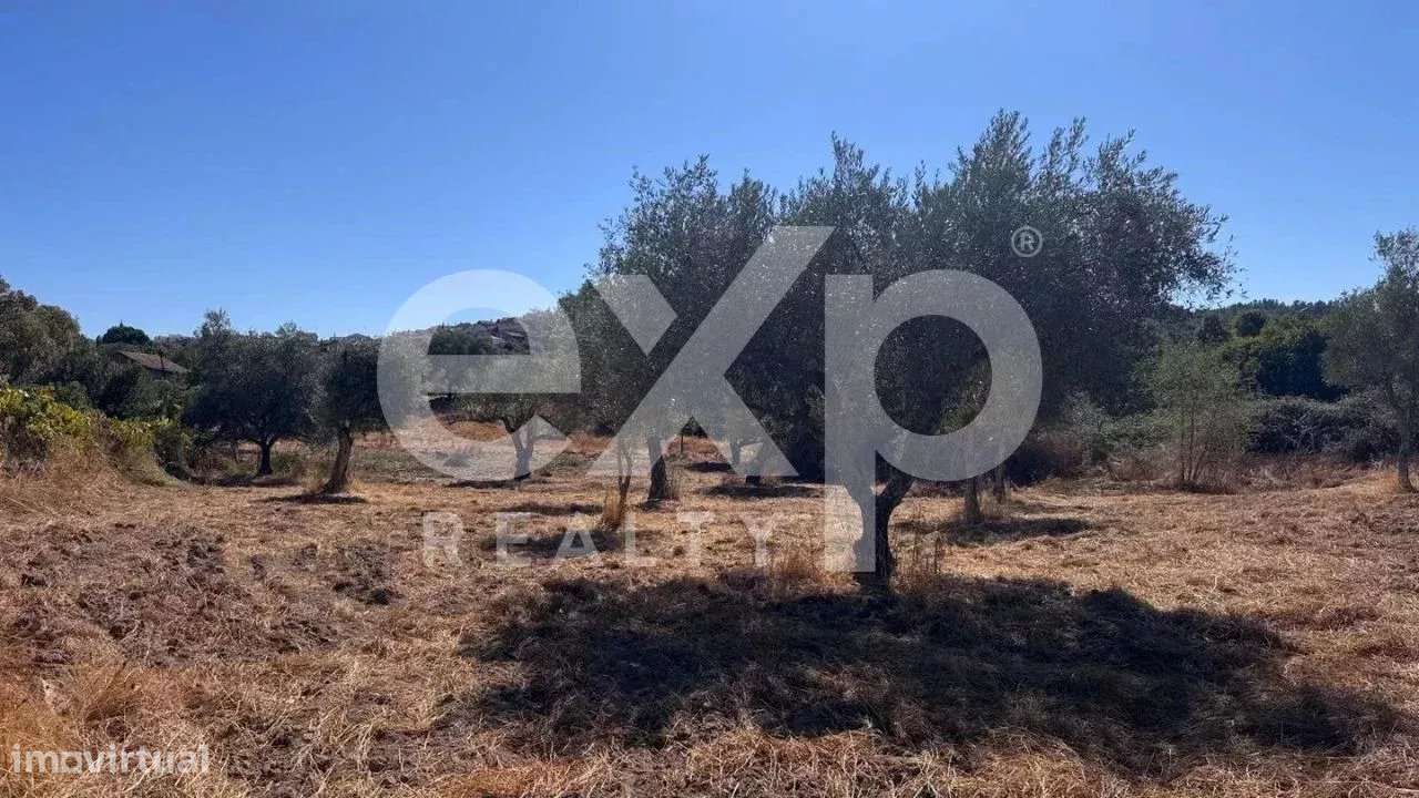 Terreno à venda – 4.360 m² em Aranhas - Grande imagem: 4/22