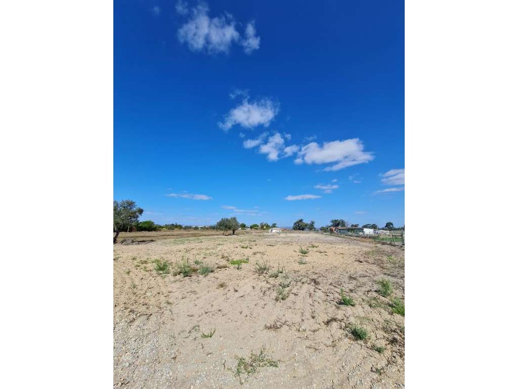 Terreno em Alcochete junto ao Rio Tejo com Projecto Aprovado-7