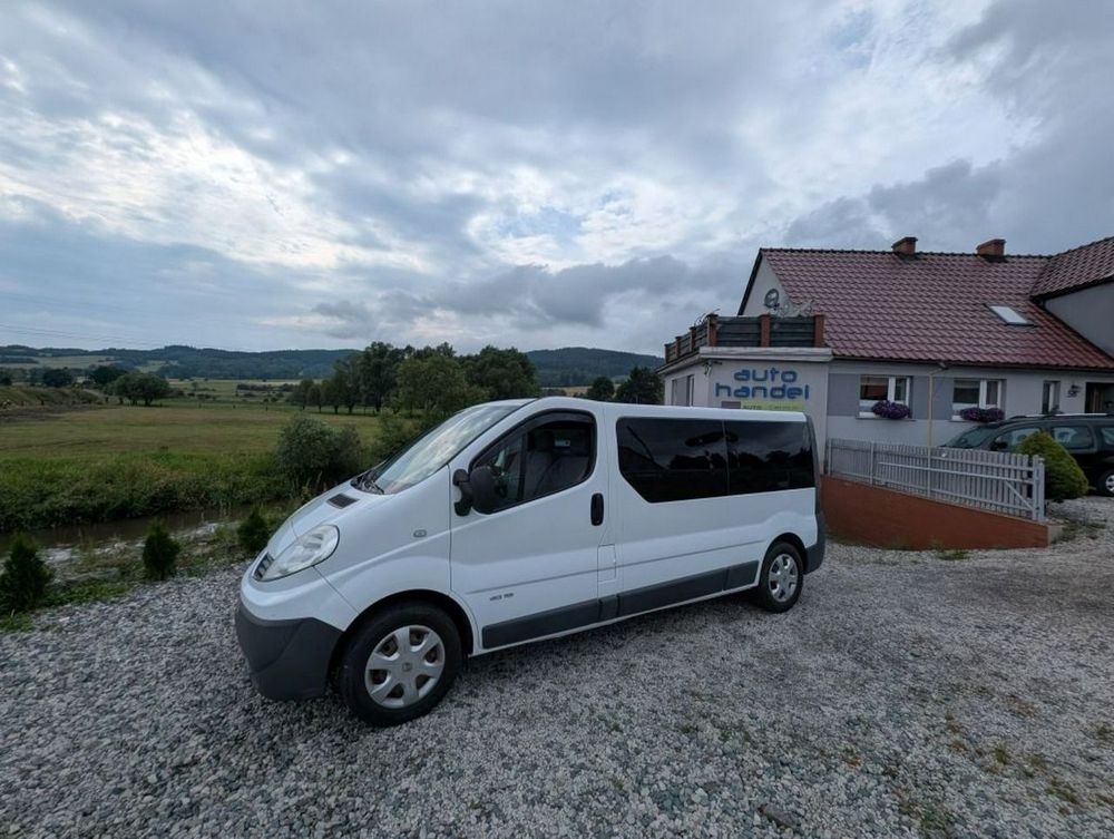 Renault Trafic II (2001-2014) 2011