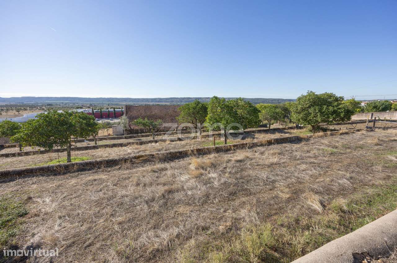 Lagar || Montalvo, Constância-22