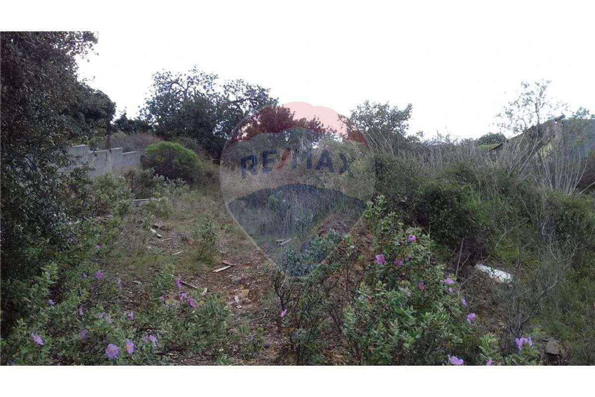 Terreno T0 para venda - Grande imagem: 3/7